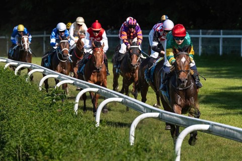 WROCLAW, POLAND - JUNE 4, 2023: International race for three years horses III group at Racecourse