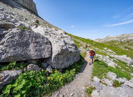 Hikers on a hiking trail on the Schynige Platte, picturesque mountain landscape, Bernese Alps,