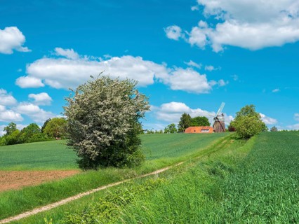 Typical field landscape with windmill in spring near Stroit, Dutch windmill, Lower Saxony, Germany
