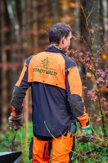 A man in work clothes stands in the forest and reaches for a branch in the autumnal surroundings,