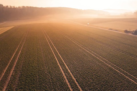 Wide fields in the morning sun with fog and clear field lines, Gechingen, Calw district, Germany