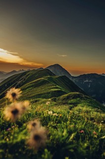 Hiking tour on the Hönig mountain in the Lechtal valley near Berwang in Tyrol, Austria
