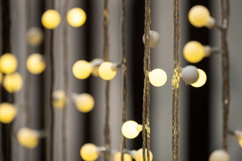 Close up of yellow light bulbs