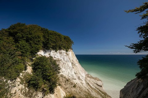 A high-angle panoramic vista of the white chalk cliffs and the Klintestien (cliff path) winding