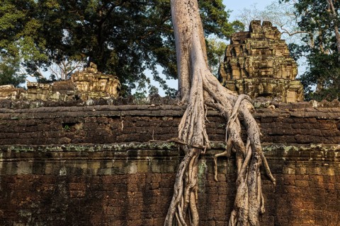 Ta Prohm, Angkor Wat, Angkor, UNESCO World Heritage Site, Siem Reap, Cambodia, Indochina, Southeast