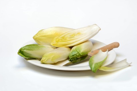Chicory, chicory salad on plate with knife