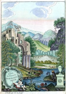 Cover picture of Botanica Pharmaceutica by Andreas Friedrich Happe, Volume I, 1785, digital