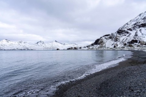 Pebble beach in bay with calm water, snow-capped mountains in the background, cloudy sky, St.