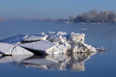 Ice floes, trees, wintery Elbe near Bleckede, Lower Saxony, Germany
