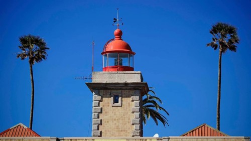 Lighthouse with red dome and palm trees in the background under clear blue sky, Ponta da Piedade,