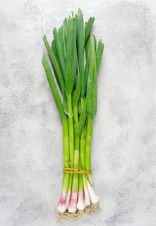 A bunch of young, green garlic, on a light table, top view, no people