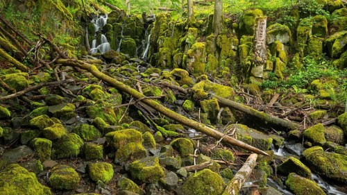 Teufelsmühle waterfall on the hill stream the Schwartzbach, surrounded by summer vegetation, in the