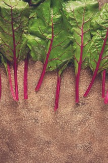 Fresh, green leaves, stem with beet leaves, on the table, top view, rustic, no people