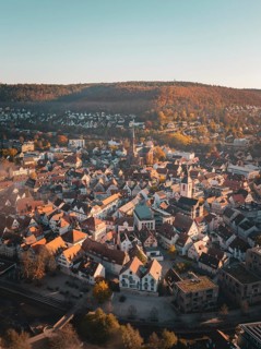 Cityscape from above with autumnal colours and wooded hills in the background, Nagold, Black
