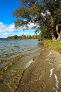 Bathing area on the shore of Lake Groß Labenz, Warin-Neukloster lake district, Warin,