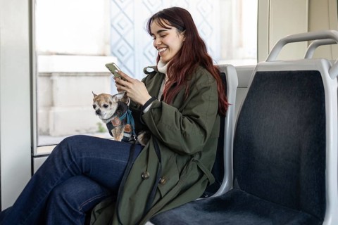A woman with a smartphone and her chihuahua on a tram, showcasing modern connectivity. Her coat and