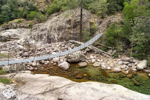 Suspension bridge over the Figarella river in the forest of Bonifatu Forêt De Bonifatu, Corsica,