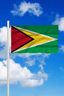 South America, Guyana, national flag, national flag, flag, flagpole, cumulus clouds against blue