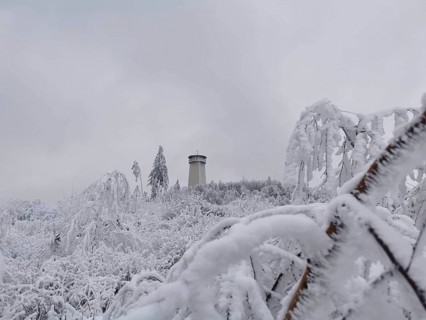 Tower in front of snow-covered trees in a cold winter environment, Thüringer Warte, Frankenwald