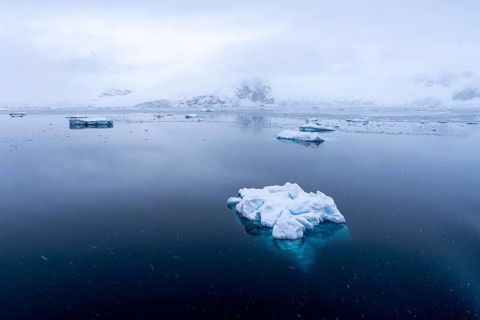 Floating ice floes on mirror-smooth water surface, snow-covered mountains covered with fog in light