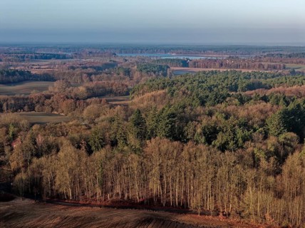 Landscape of the Mecklenburg Lake District in Müritz National Park. Lake Userin in the background.