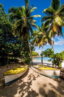 Petit Police Bay Beach, Mahe, Republic of Seychelles, Indian Ocean