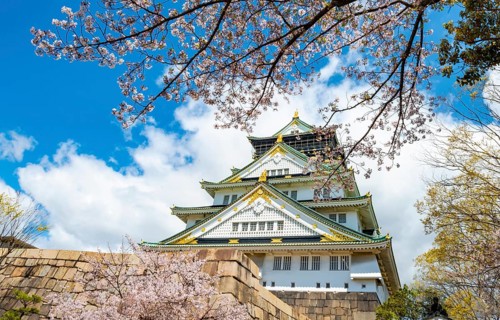 Osaka castle with blooming cherry trees in the park, Osaka Castle Park, Chuo-ku, Osaka, Japan
