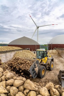 Biogas plant produces gas from various biomass, here the sugar beet storage, the electricity is