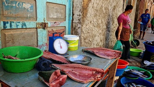 A table with huge fish fillets of tuna (thunnus) and a scale on a market stall with people in the