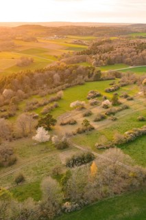 Aerial view of green landscape with blooming trees in warm sunset, e-bike tour, old sports ground