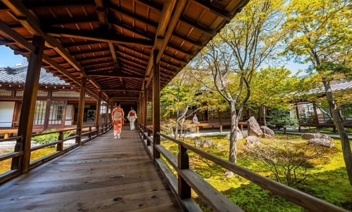 Japanese woman dressed in kimono in Kennin-ji Buddhist temple, O-shoin courtyard with Shione
