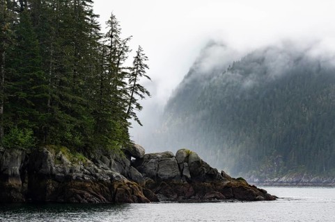 Rocky coast with coniferous forest, coastal landscape, mystical cloud-covered mountains, Kenai