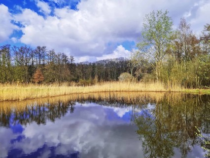 A breath of spring on a small body of water with dramatic clouds and tree reflections in the water,