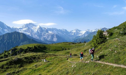 Hikers on a hiking trail on the Schynige Platte, picturesque mountain landscape, glaciated mountain