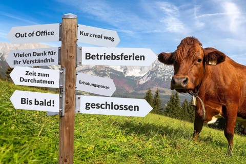 (photo montage) Freelance guide against an alpine background in various directions with terms on
