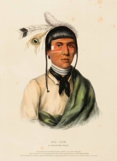 No-Tin. A Chippewa Chief (1842), Indians, Historical Indian tribes from North America, Charles Bird