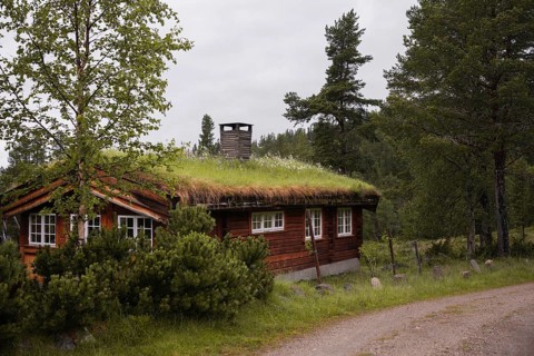 A charming wooden cabin with a grass-covered roof sits nestled among trees in a lush forest in