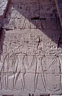 Reliefs, close-up, First Courtyard, Medinet Habu, Thebes-West, Luxor, Nile Valley, Egypt, September