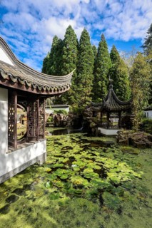 Bochum, North Rhine-Westphalia, Germany - Chinese Garden, Botanical Garden of the Ruhr University