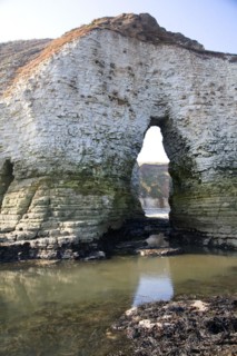Coastal scenery at Flamborough Head, Yorkshire, England, United Kingdom