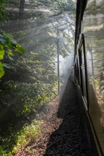 Train journey through a shady forest with rays of light on the tracks, Rügen, Rasender Roland