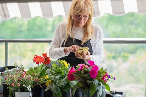 A gardener in an apron uses a smartphone, surrounded by vibrant potted flowers, on a balcony. The