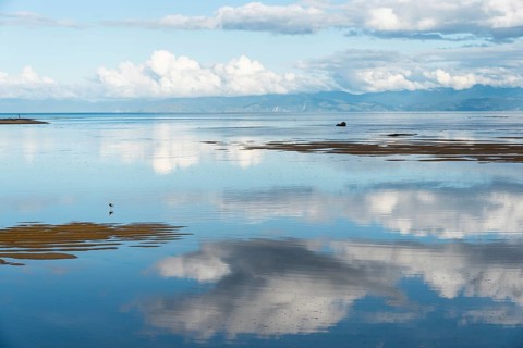 Water, reflection, reflection, sandbanks, bird, still life, cloud reflection, cloud formation,