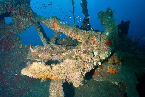 Anchor of a colorful shipwreck in the midst of a lively underwater landscape, dive site Wreck