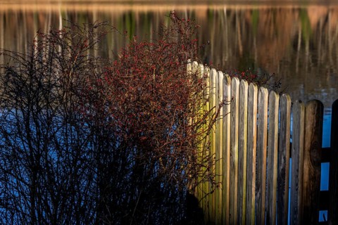 Schlachtensee, Zehlendorf, Berlin, Germany