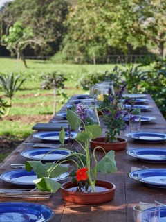 High angle of banquet table served with rows of empty glasses plates in shade decorated with flower