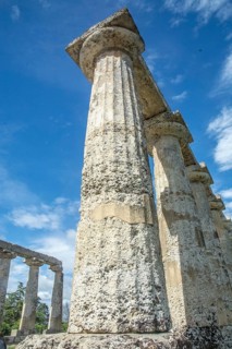 Columns of the Doric Temple of Hera, archaeological site site of Metaponto, Bernalda, Basilicata