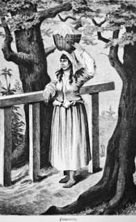 Peruvian woman carrying a filled basket on her head, leaning on wooden scaffolding to pick up the
