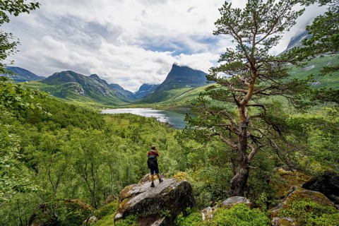 Young man standing on rocks and taking pictures, Innerdalen high valley with lake Innerdalsvatna,