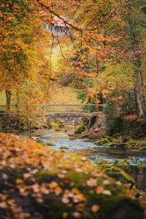 Bridge over river in spa gardens near autumn, Bad Wildbad, Black Forest, Germany